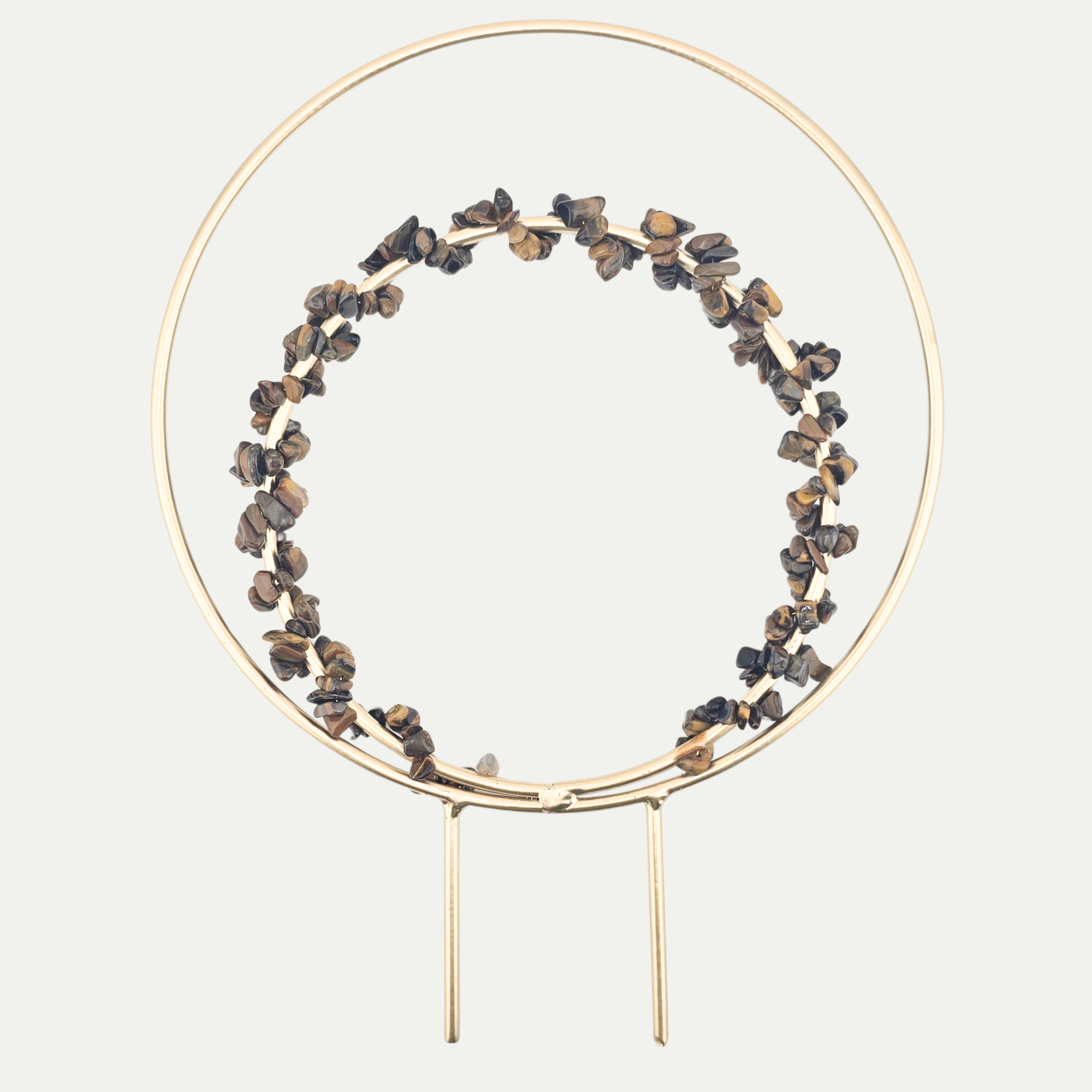 Double Loop Trellis