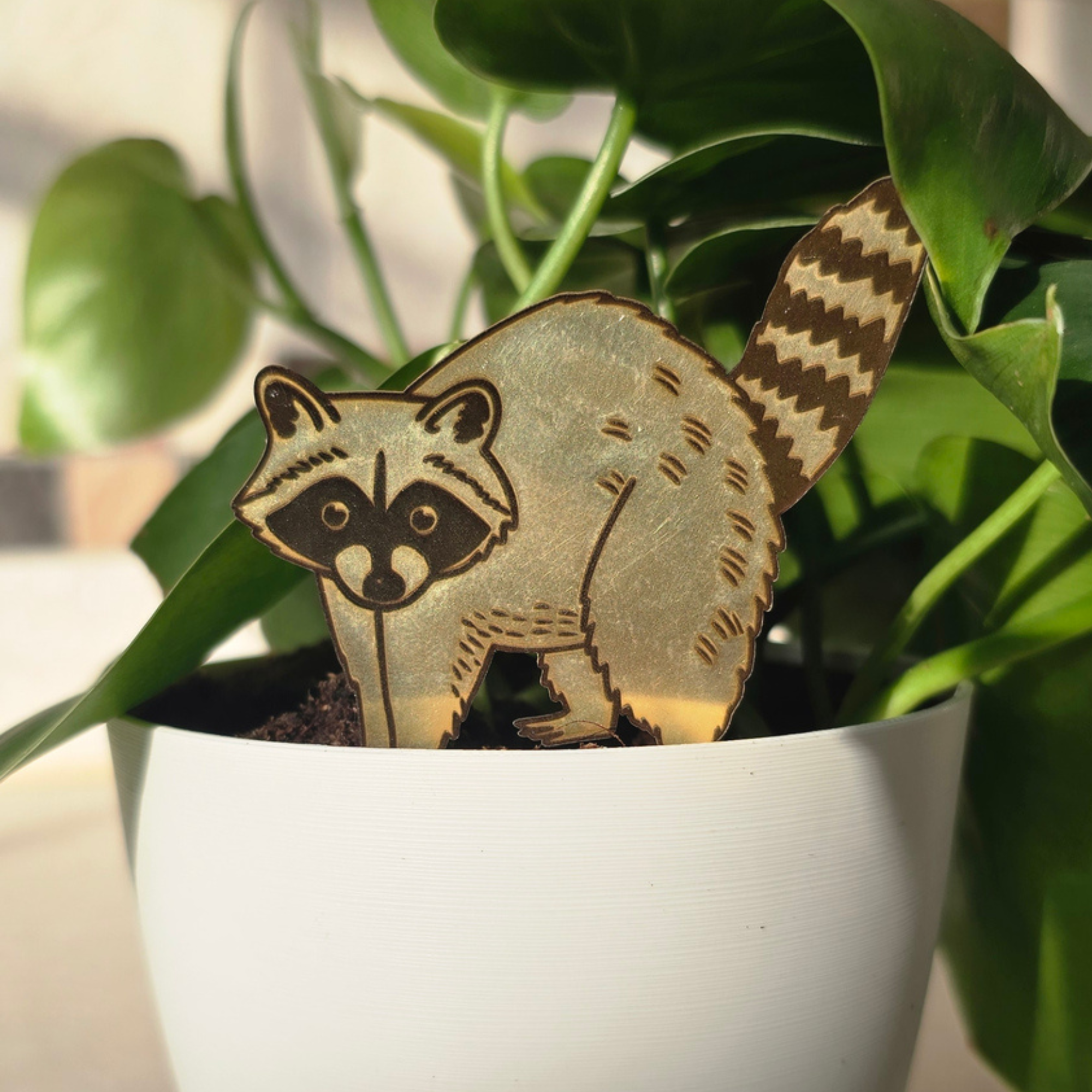 Plant Pets
