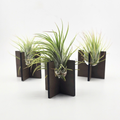 Air Plant Stands - Set of 3