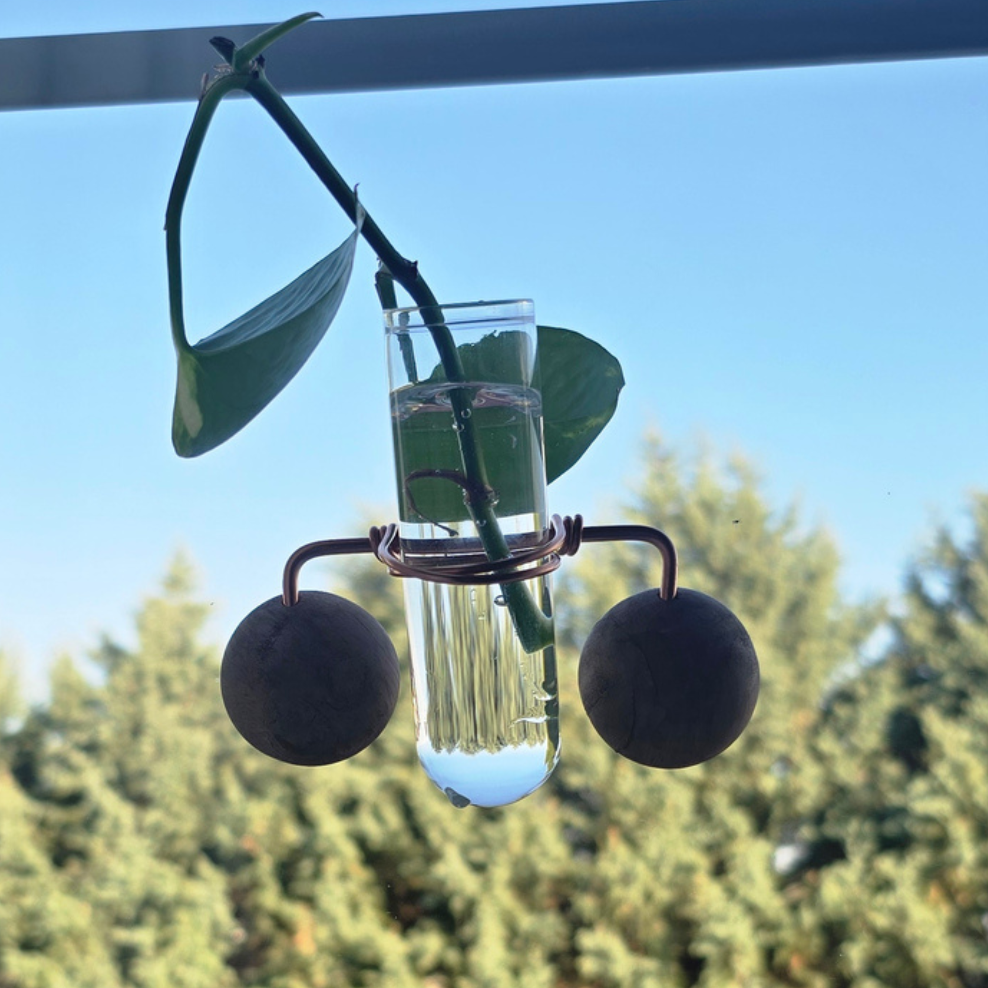 Single Window Propagation Stand