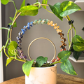 Triple Loop Trellis