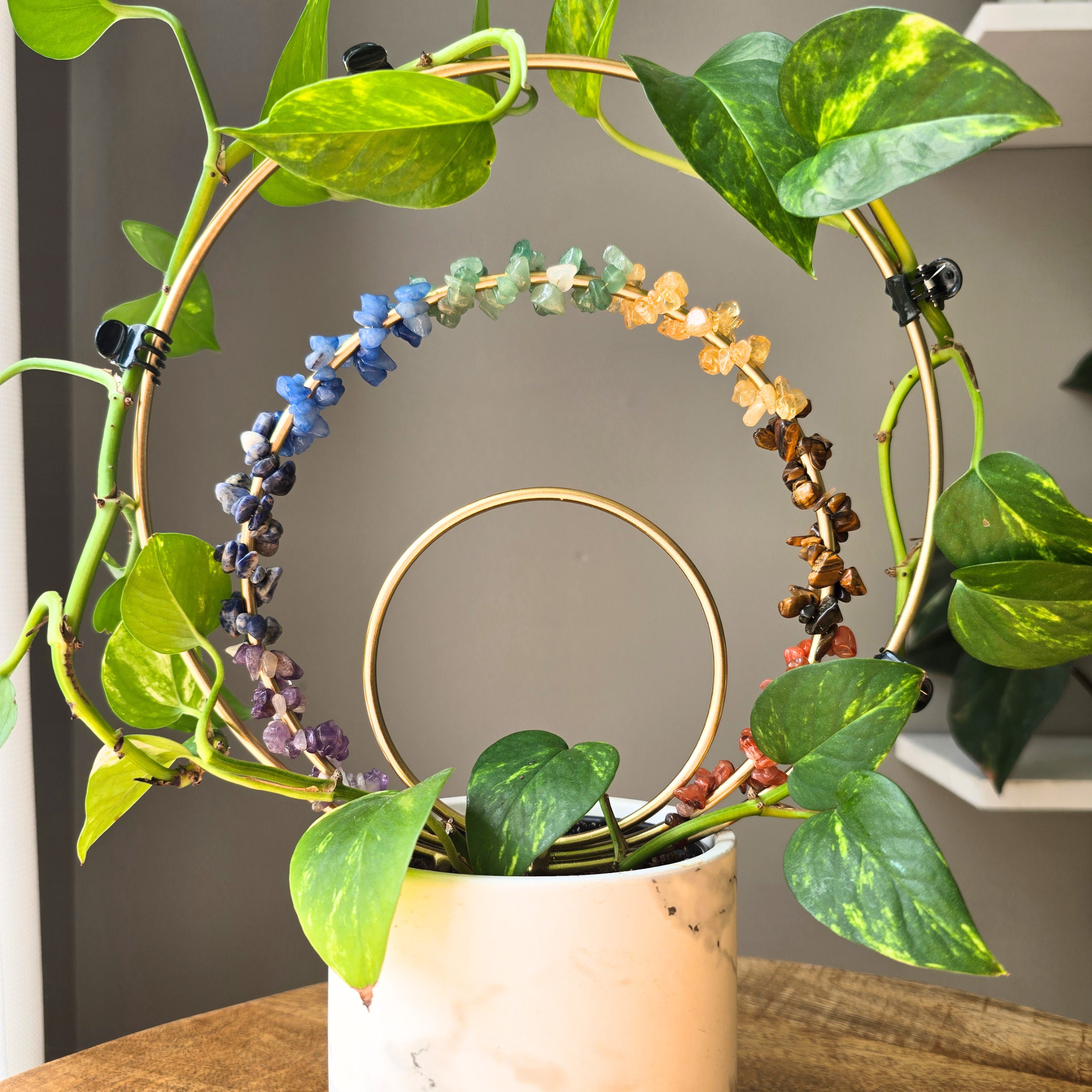 Triple Loop Trellis